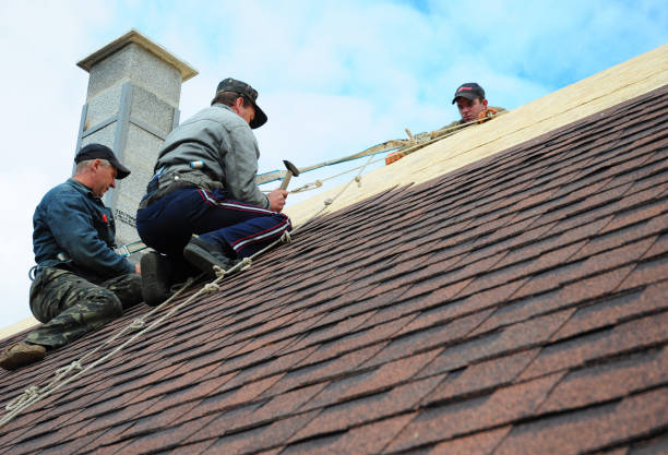 Best Local Roofing Companies  in Hillsville, VA